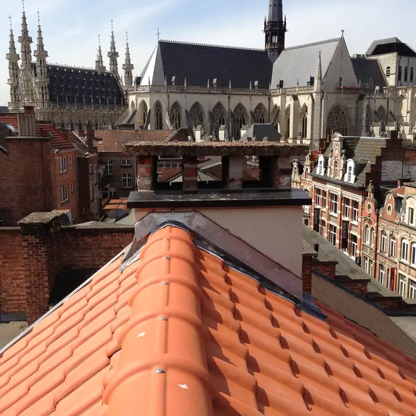 Toiture en tuiles neuves en centre-ville, avec vue sur une église gothique