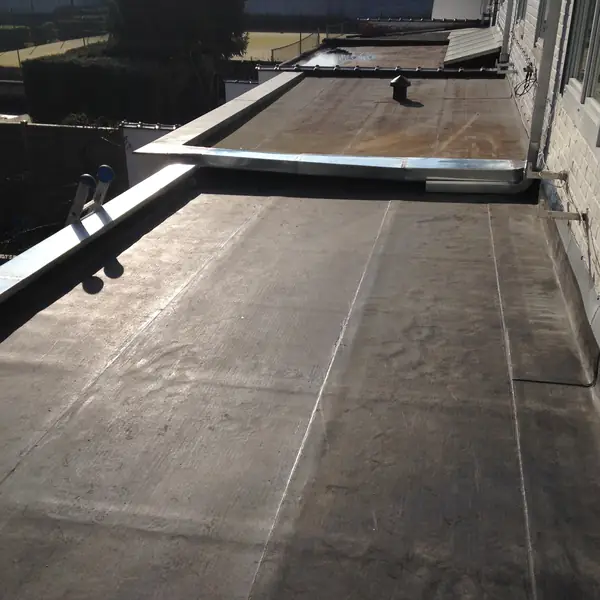 Toiture plate avec rives métalliques le long d'une façade